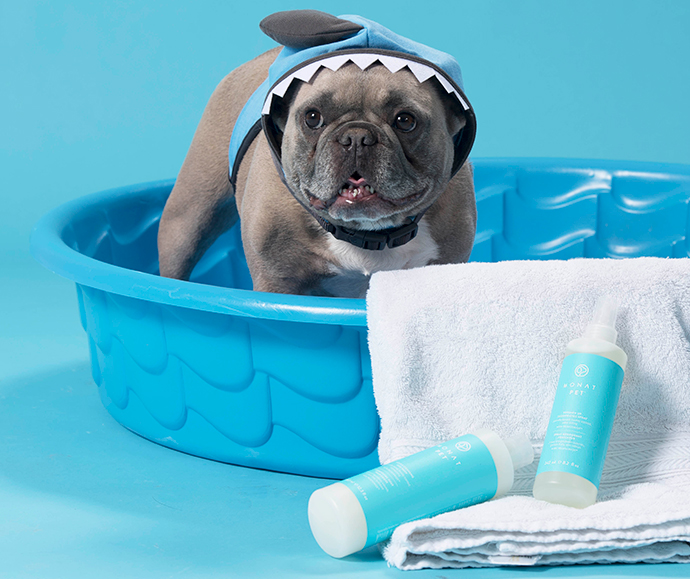 Pamper-Your-Pet_HEADER