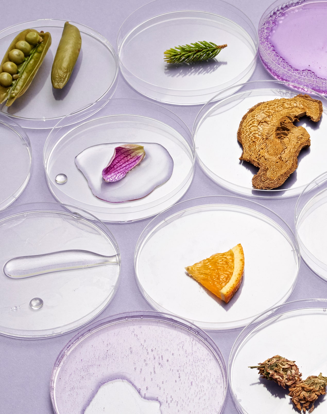 A flat lay of ingredients arranged neatly on glassware.