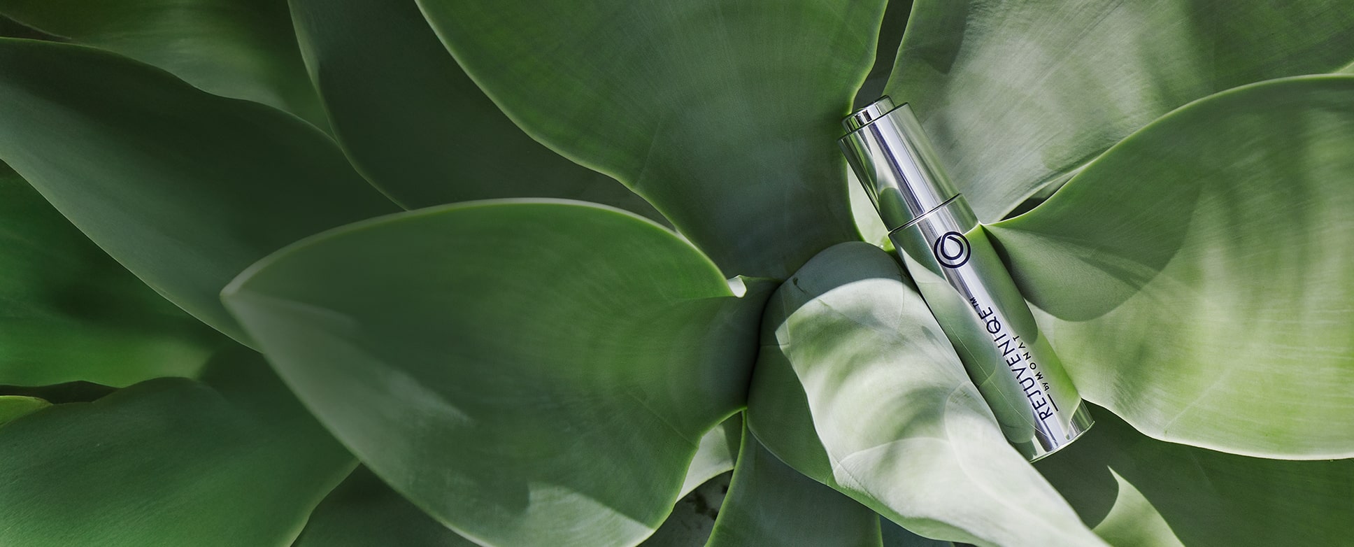 Picture of a Rejuveniqe bottle placed on top of green leafs