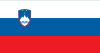 Slovenian flag