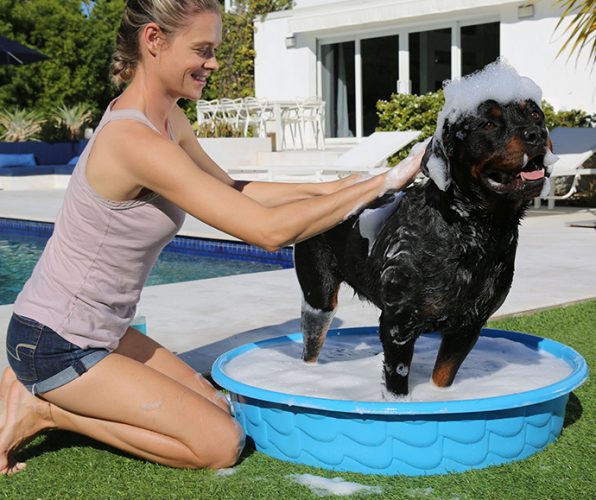 Pup Grooming Tips: How Often Should You Groom Your Dog?
