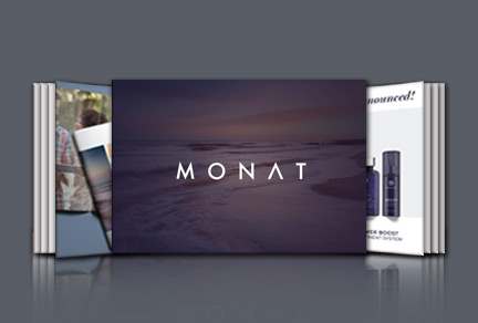 Bsbmkg501b presentation 2 06 picture