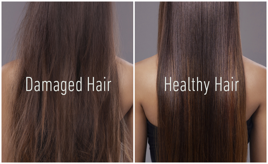 Why Oils MONAT GLOBAL why-oils-monat-global