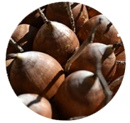 INGREDIENT_BABASSU