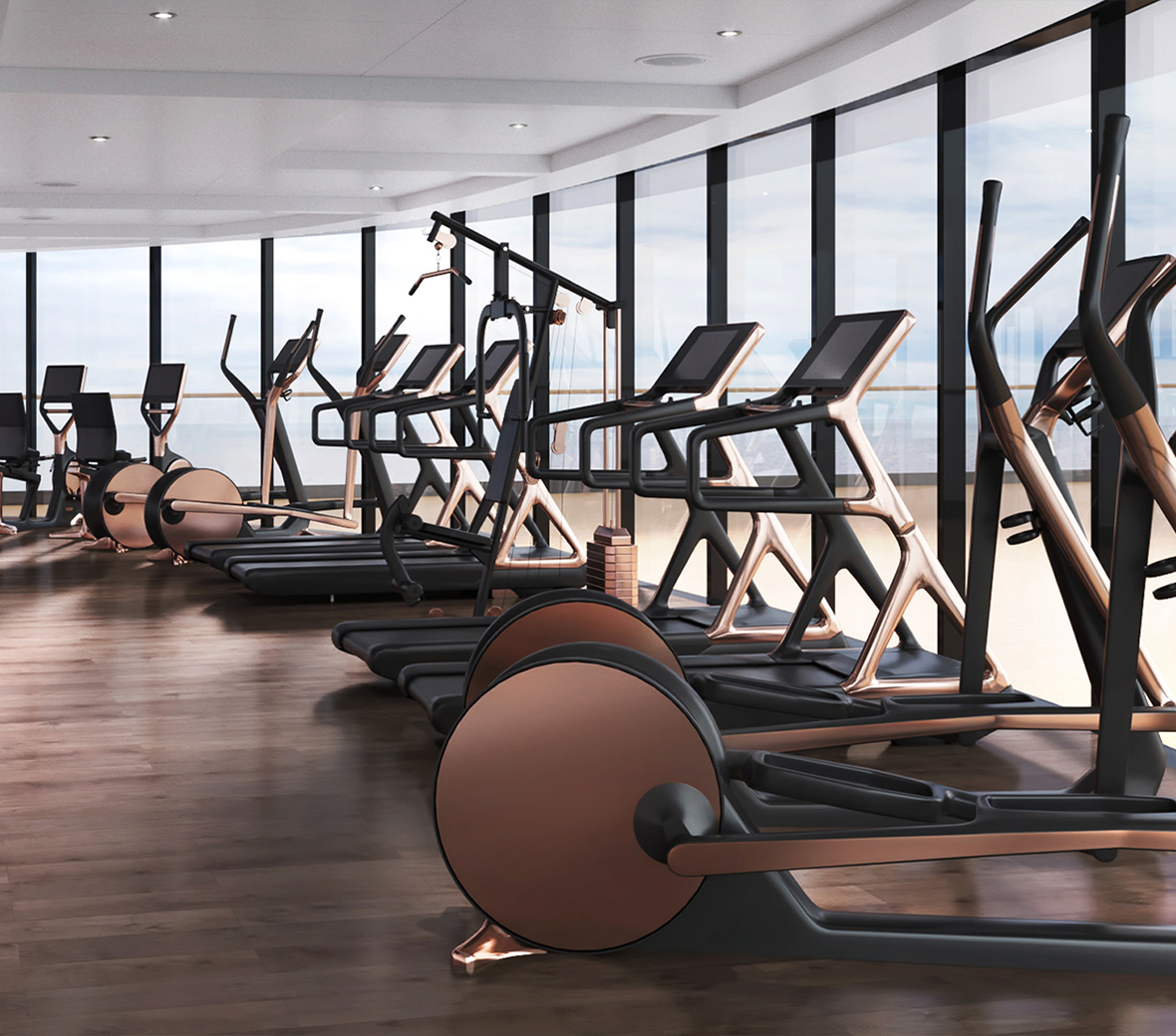 A fitness studio with glass windows, tredmills and ellipticals, that overlooks the ocean.
