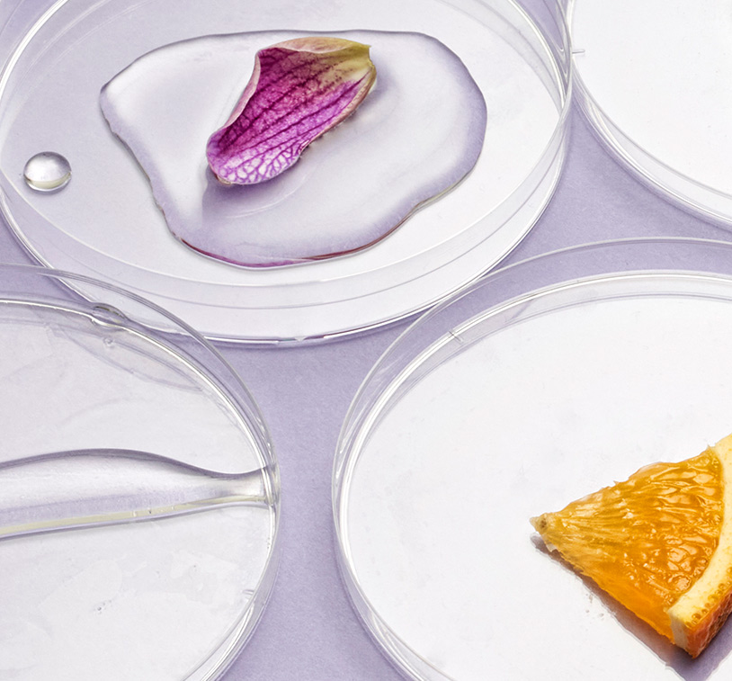 Petri dishes with different ingredients sitting on a lavendar surface.