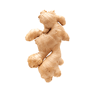Fresh ginger root picture