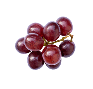 Red grapes picture