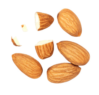 group of almonds picture