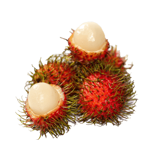 Rambutan picture