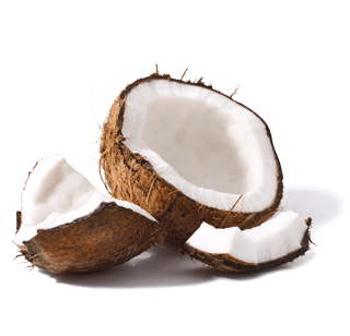 open coconut picture